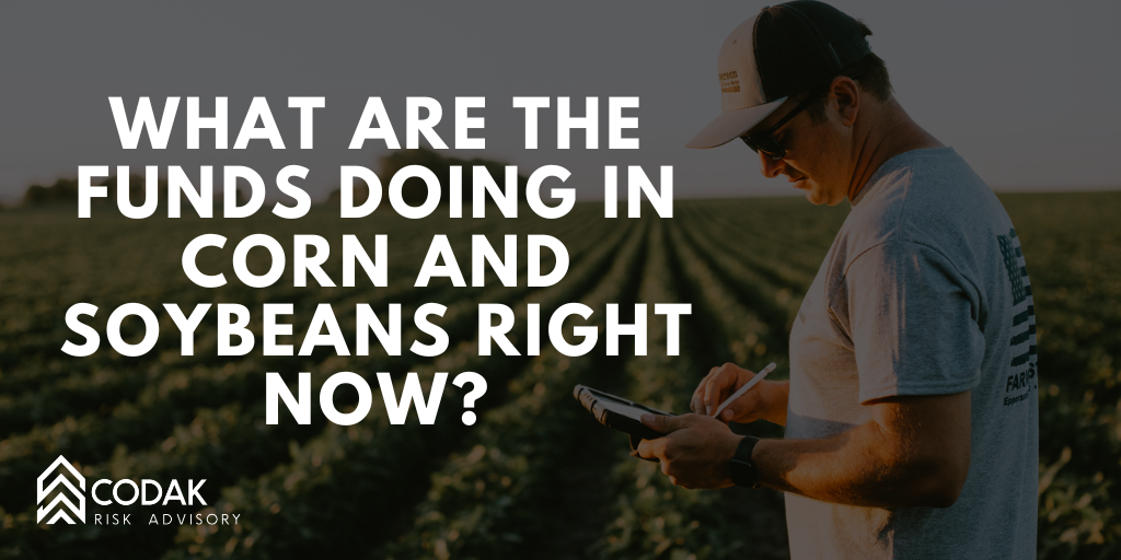 What Are the Funds Doing in Corn and Soybeans Right Now?&nbsp;