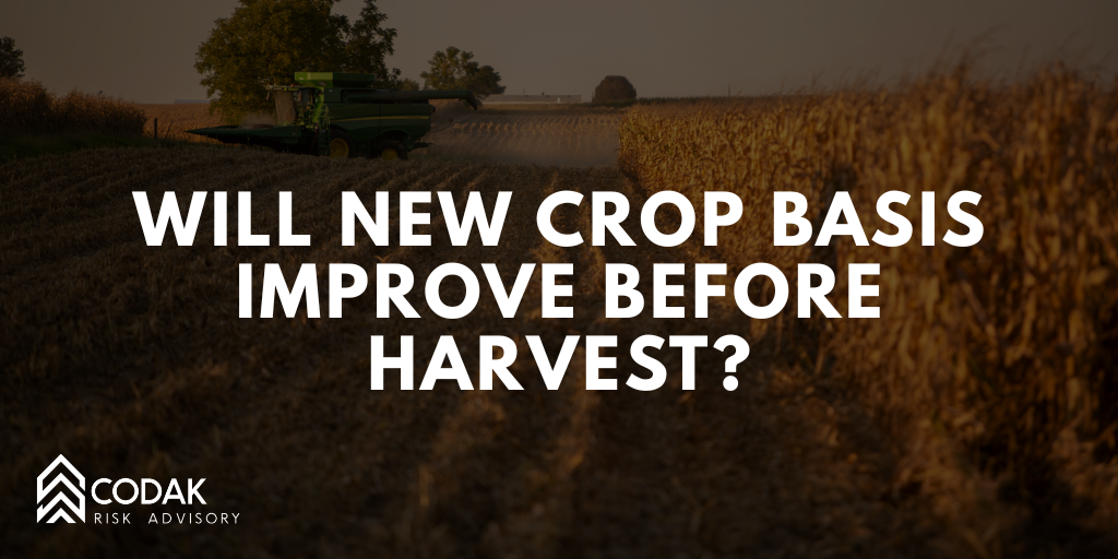 Will New Crop Basis Improve Before Harvest?&nbsp;