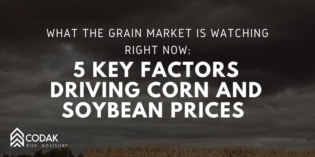 What the Grain Market Is Watching Right Now: 5 Key Factors Driving Corn and Soybean Prices&nbsp;