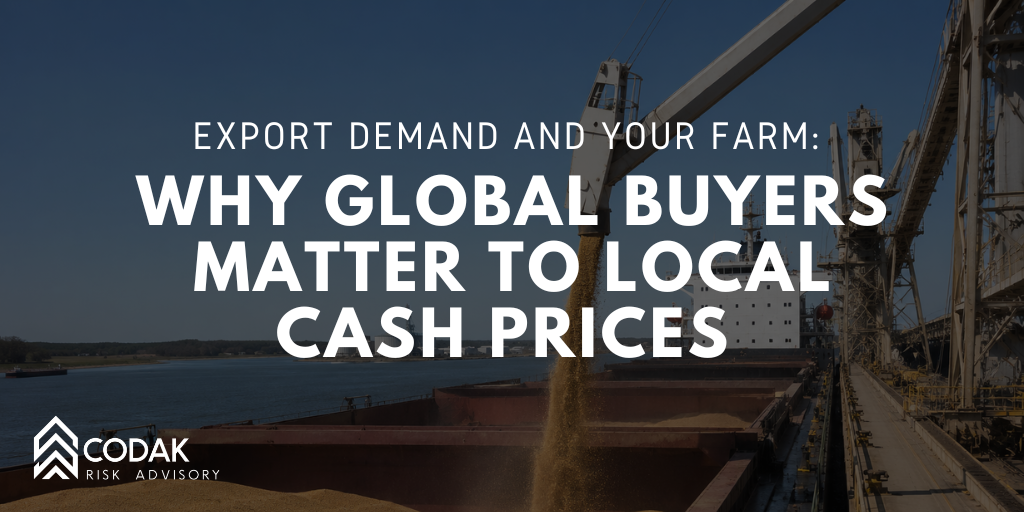 Export Demand and Your Farm: Why Global Buyers Matter to Local Cash Prices&nbsp;