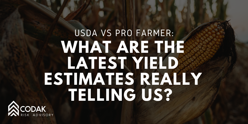 USDA vs Pro Farmer: What Are the Latest Yield Estimates Really Telling Us?&nbsp;