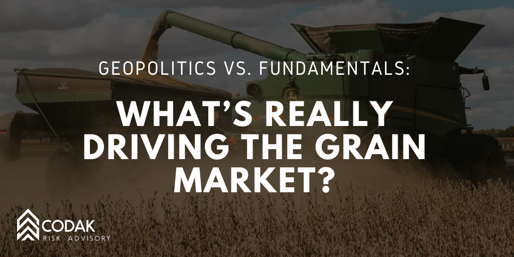 Geopolitics vs. Fundamentals: What’s Really Driving the Grain Market?&nbsp;