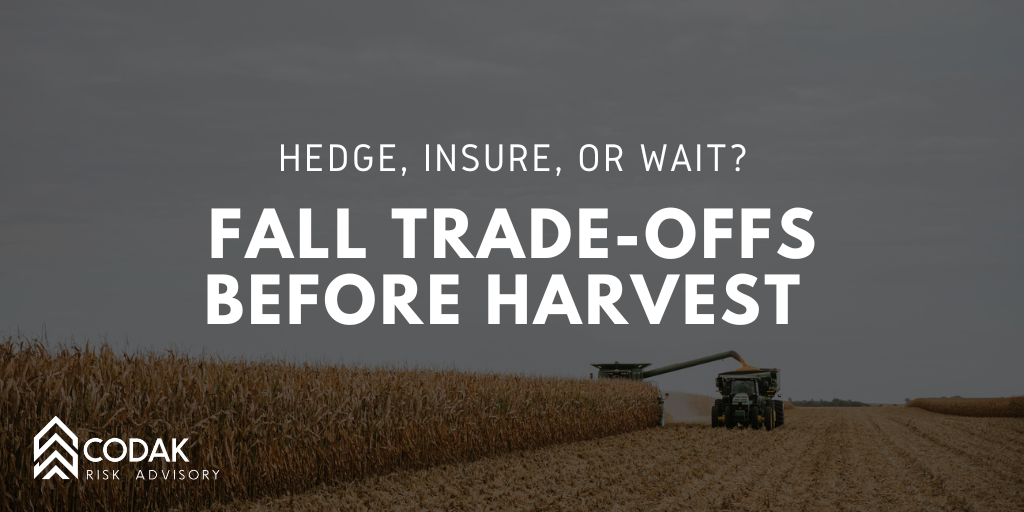 Hedge, Insure, or Wait? Fall Trade-Offs Before Harvest&nbsp;