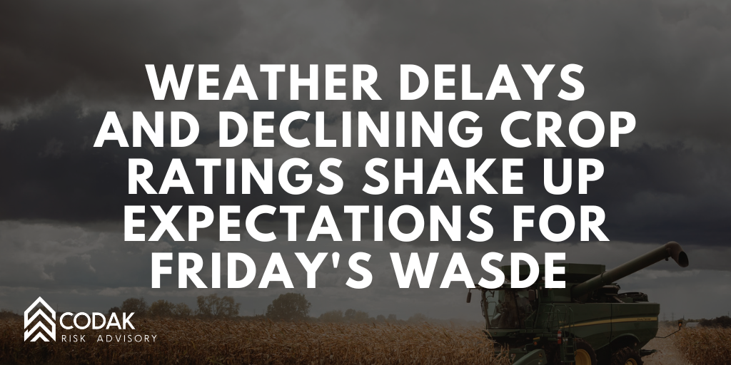 Weather Delays and Declining Crop Ratings Shake Up Expectations for Friday's WASDE&nbsp;