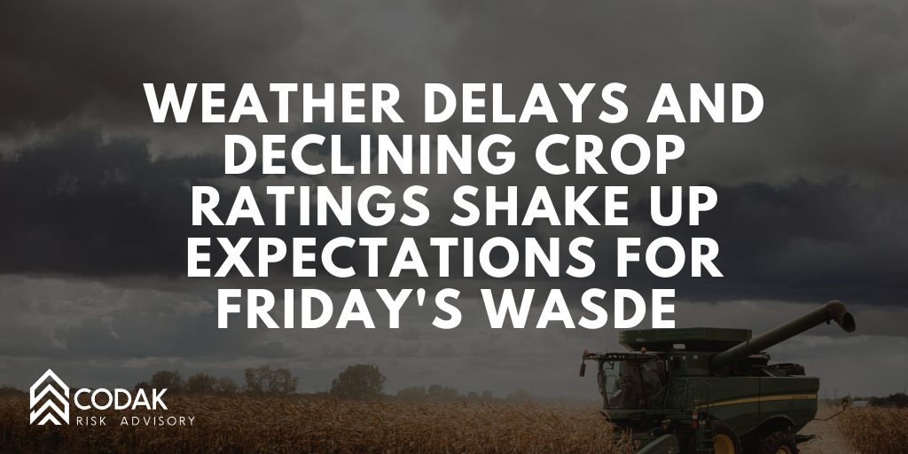 Weather Delays and Declining Crop Ratings Shake Up Expectations for Friday's WASDE&nbsp;