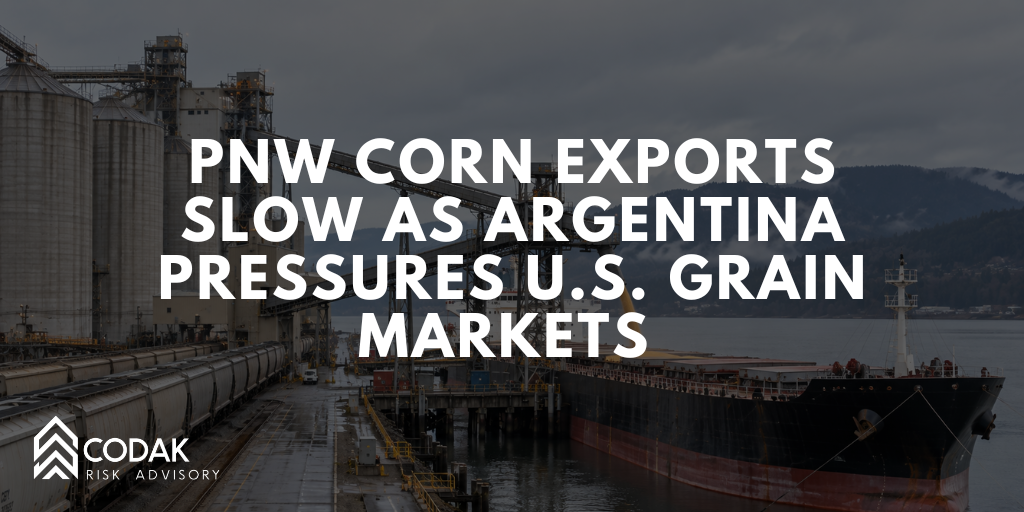 PNW Corn Exports Slow as Argentina Pressures U.S. Grain Markets&nbsp;