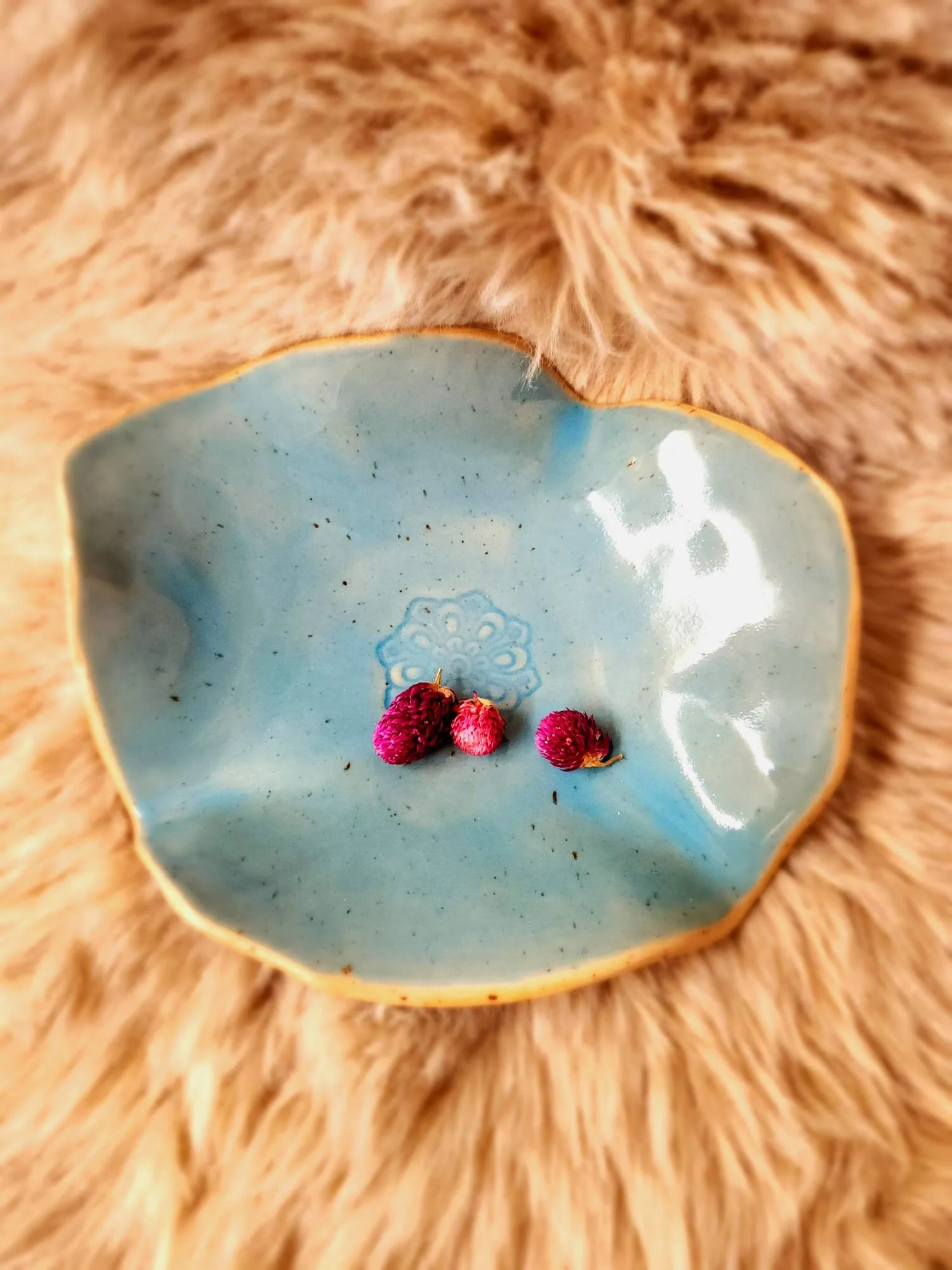 WhatsApp Image 2026-02-11 at 11.37.35 (1).jpeg