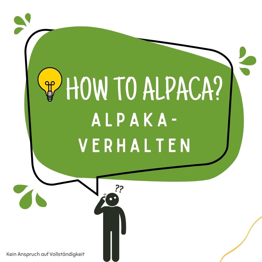 Alpaka-Verhalten Titelbild