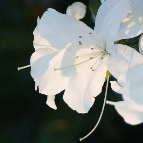 What is Healing? (Heather Eggleston)