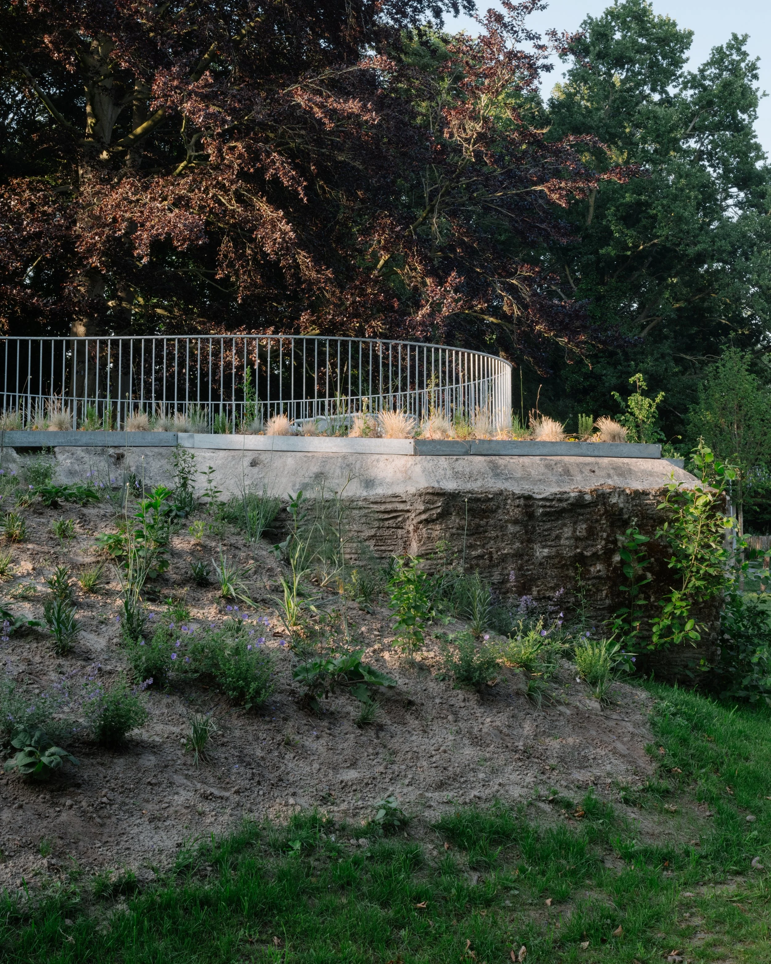 Fallow_18_Sophoras_12_Photo Lars Duchateau.jpg