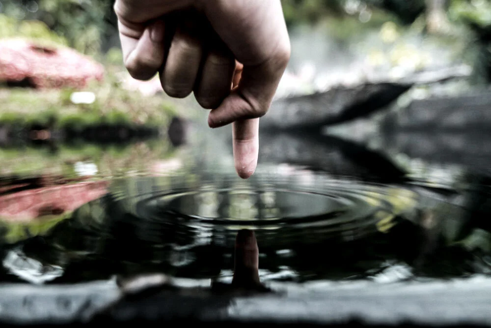 My Journey of Transformation  - Becoming a Leader as Coach