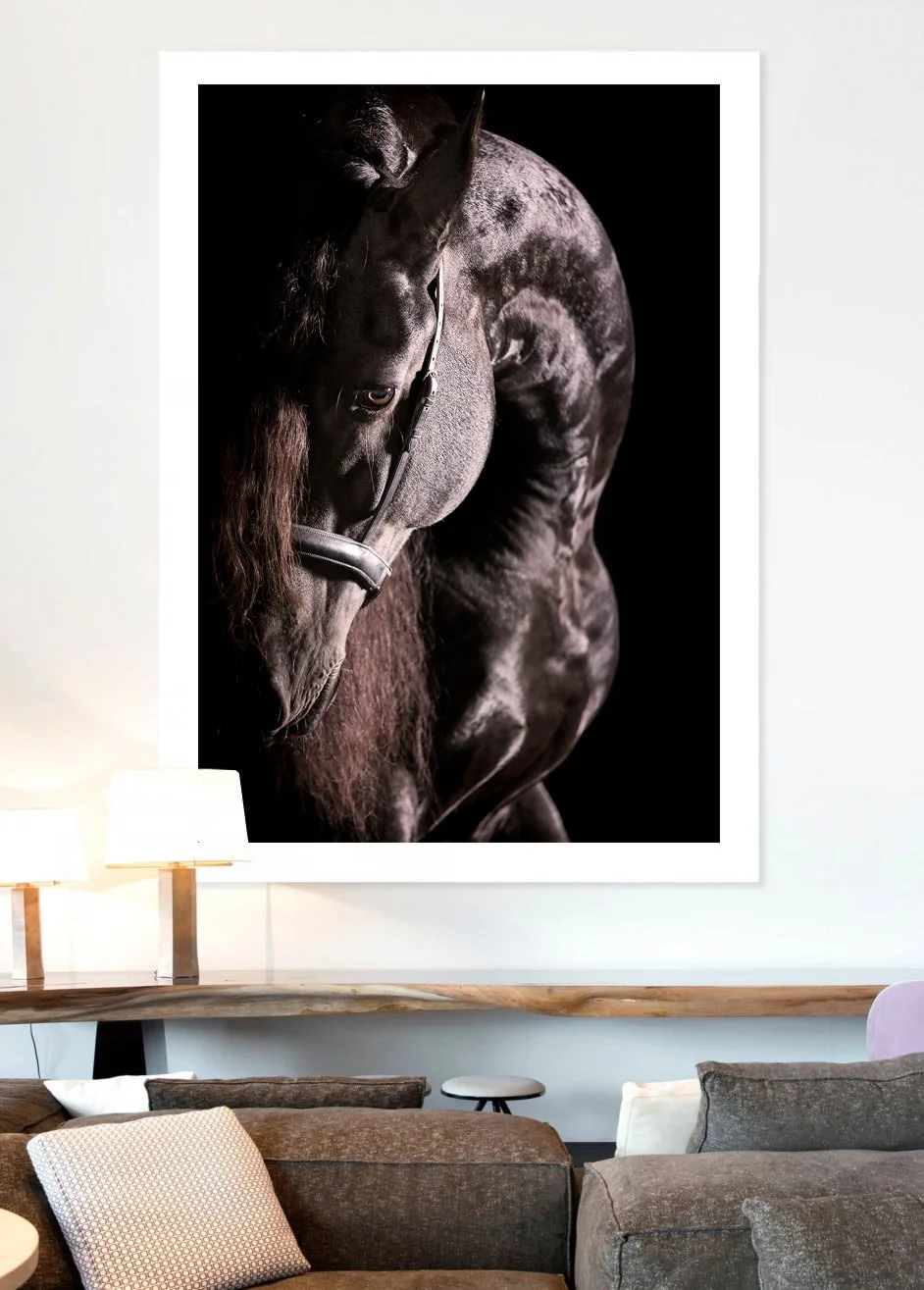 CURVARUM AMBIENTE.jpg