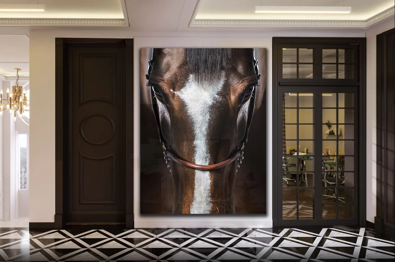 IMMERSION AMBIENT 9.jpg