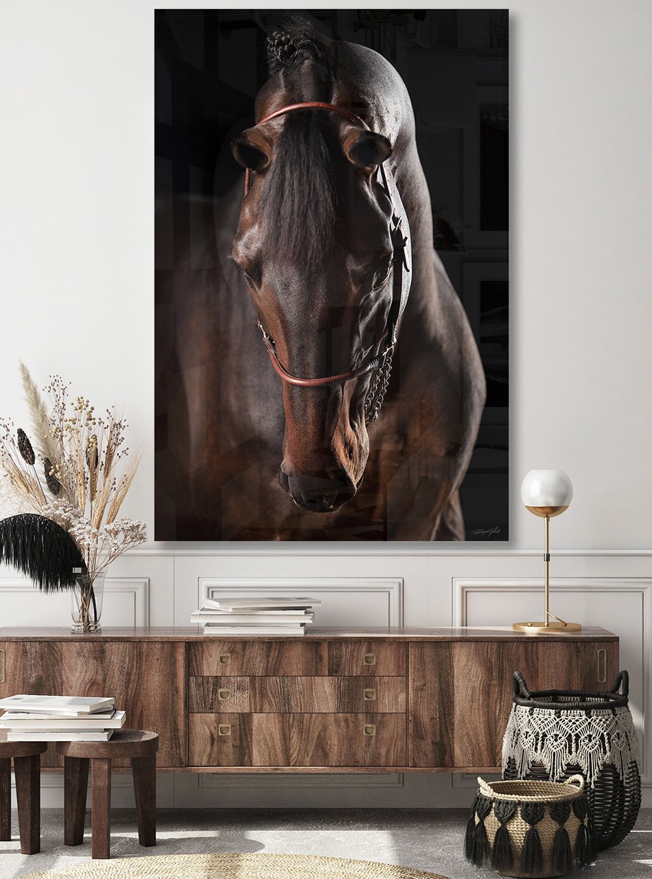 DOMINO AMBIENT 1.jpg