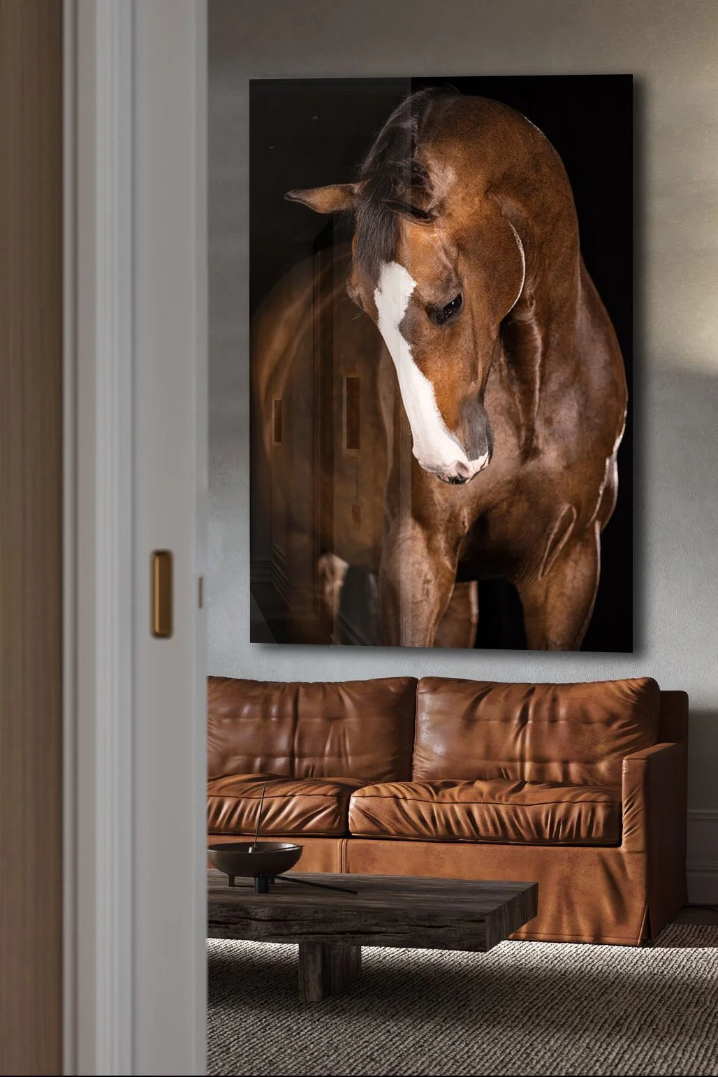 MODULO-AMBIENT 4.jpg