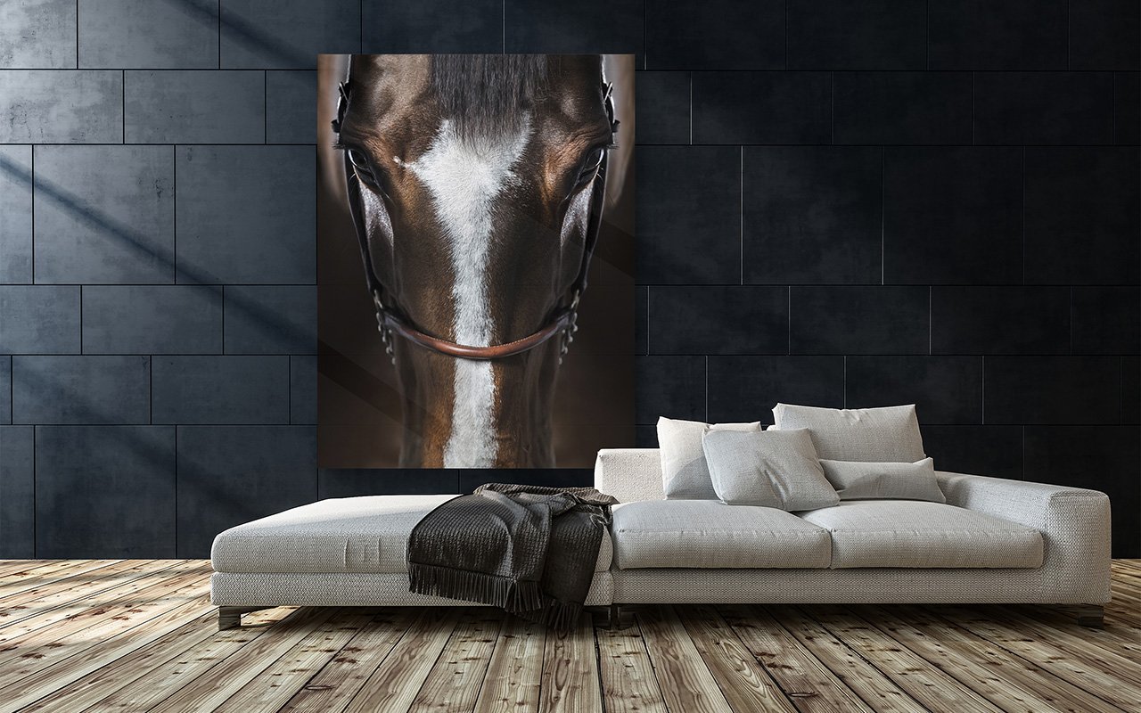 Immersion one of the most famous pieces in the Horse World, by Raphael Macek