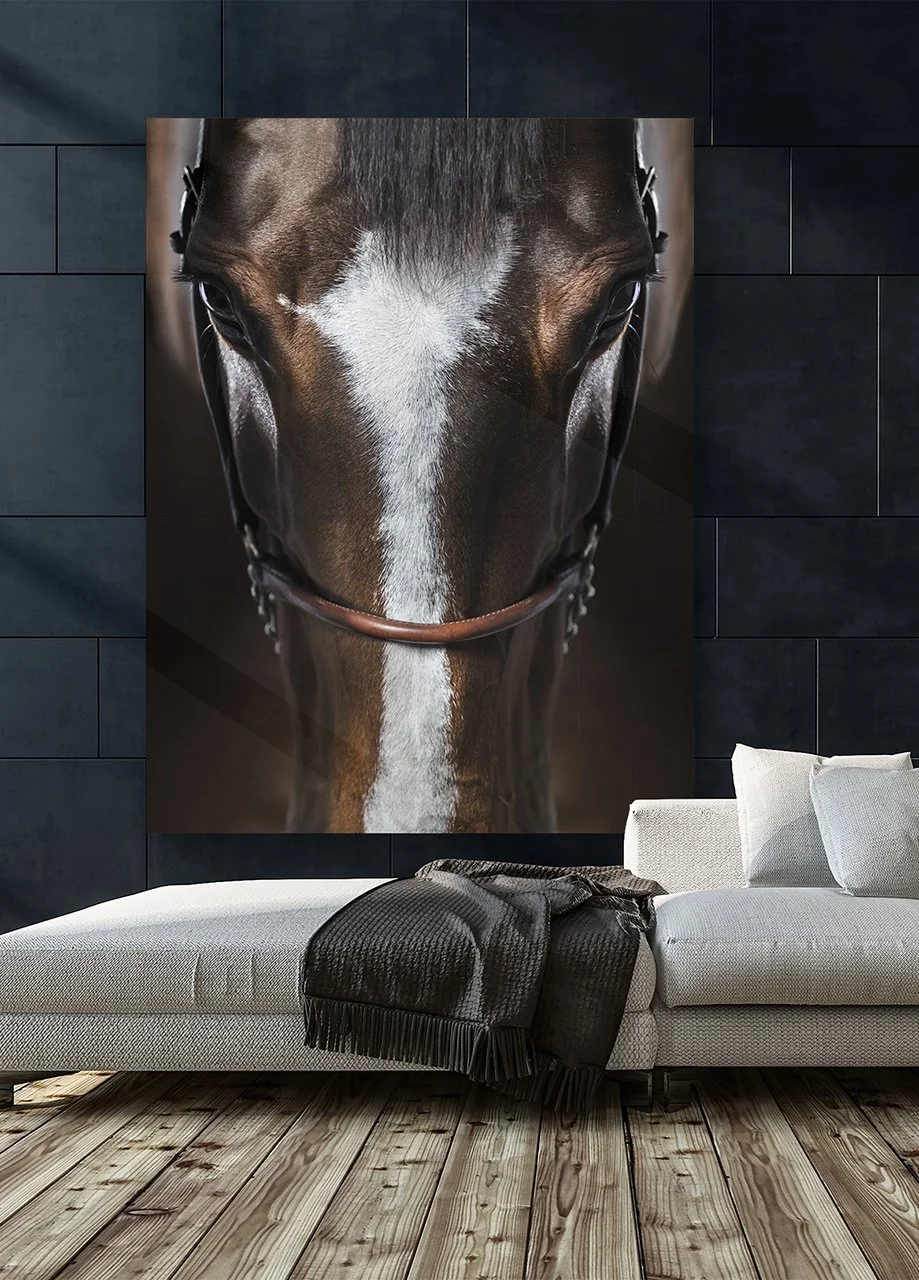 IMMERSION AMBIENT 1.jpg