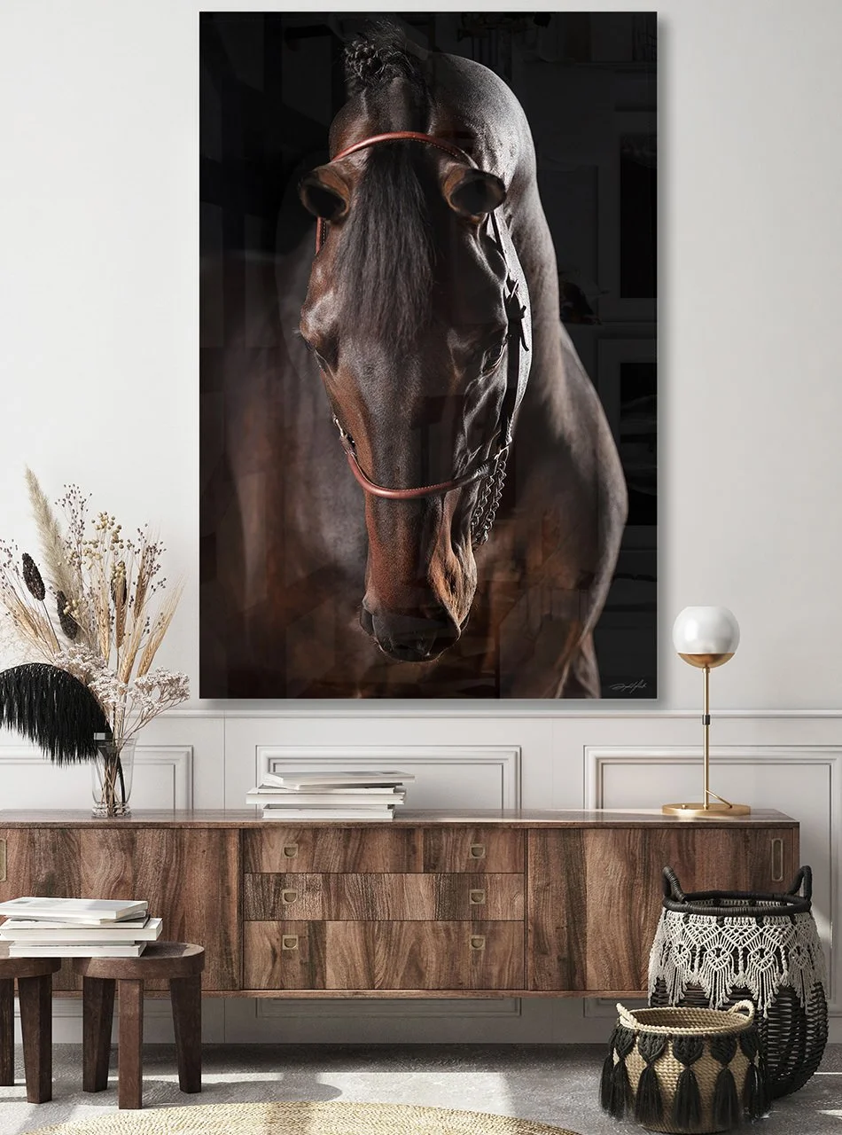 DOMINO AMBIENT 1.jpg