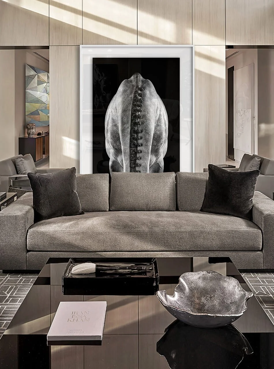 AFRESCO AMBIENT 1.jpg