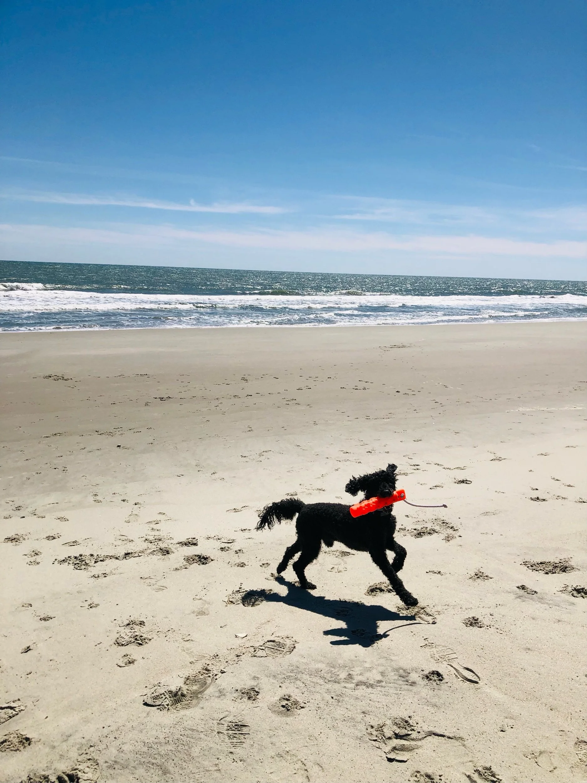 IMG_0446.jpeg