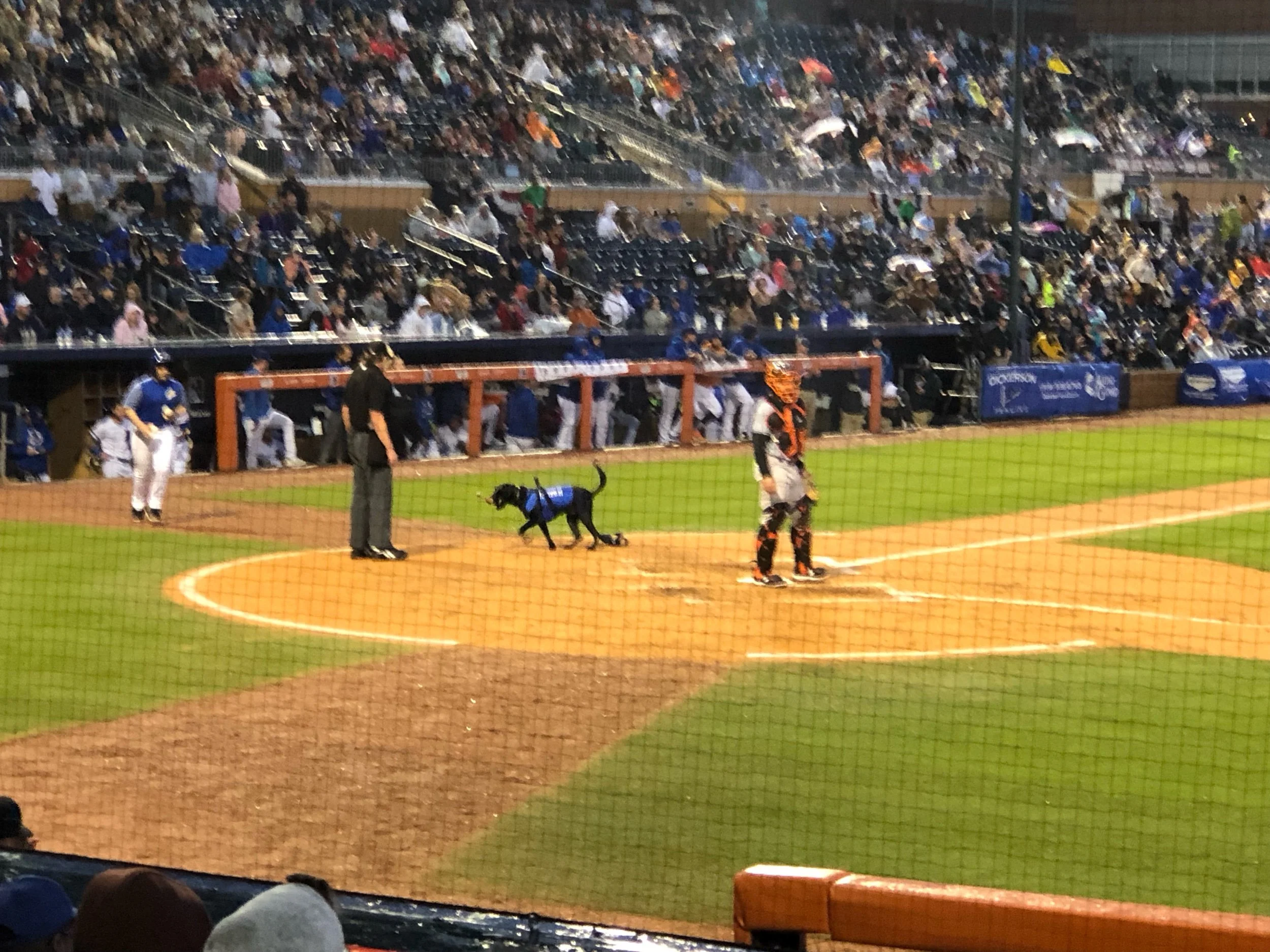 IMG_0681.jpeg