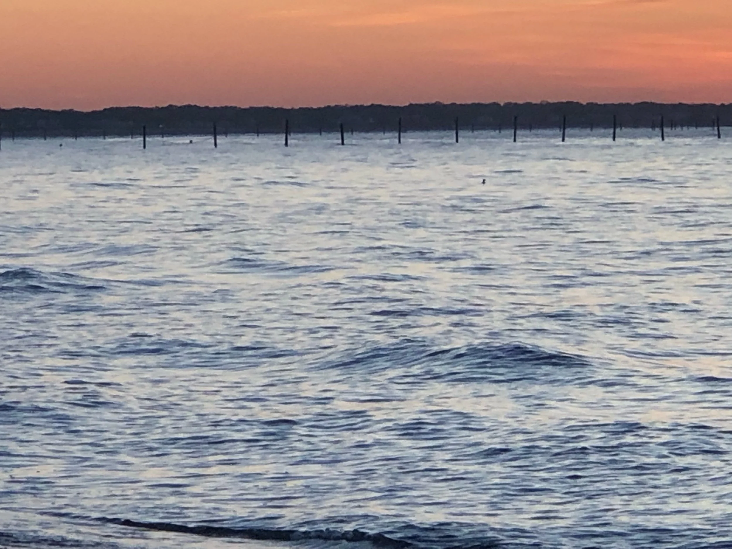 IMG_0841.jpeg