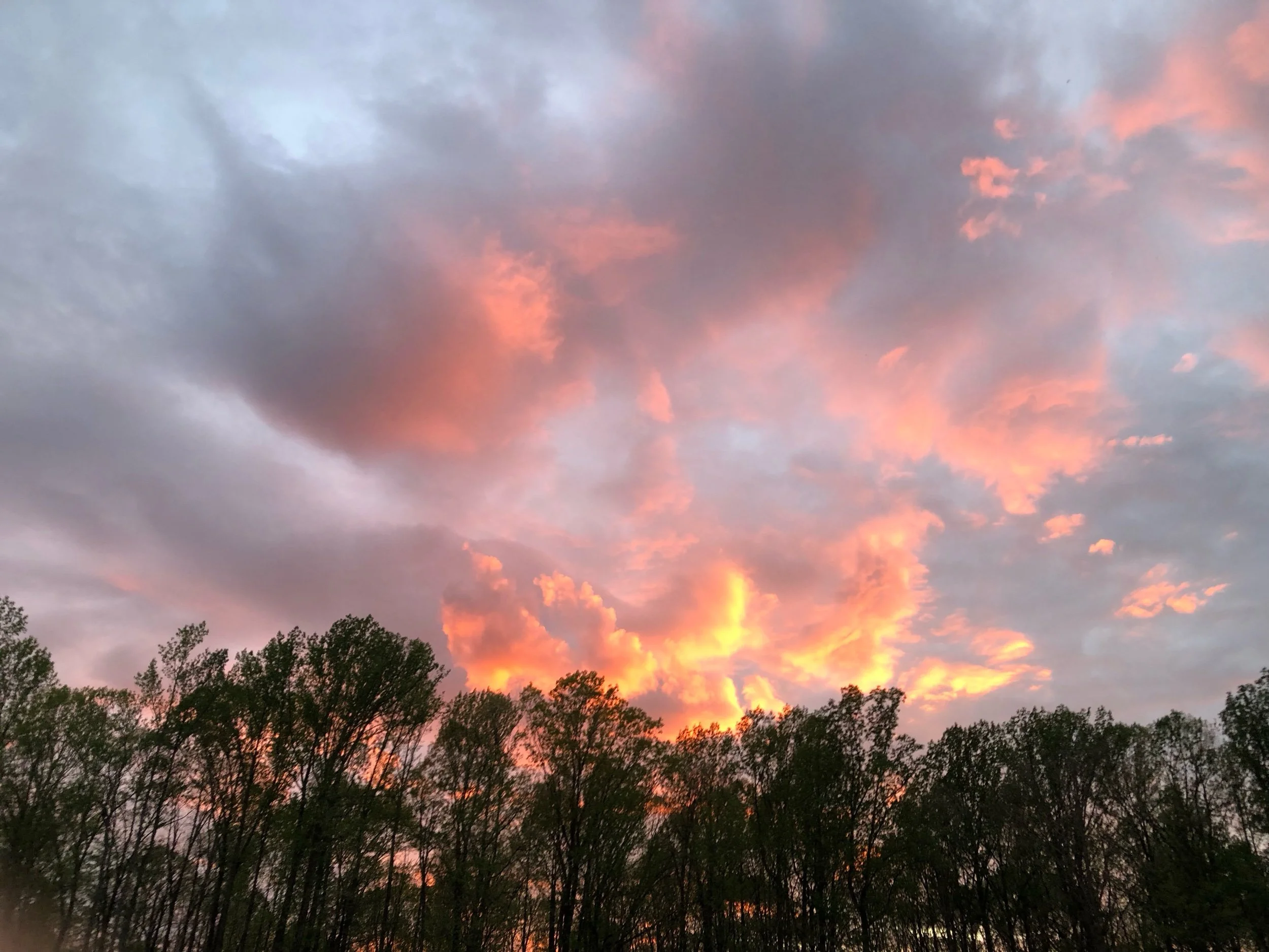 IMG_0862.jpeg