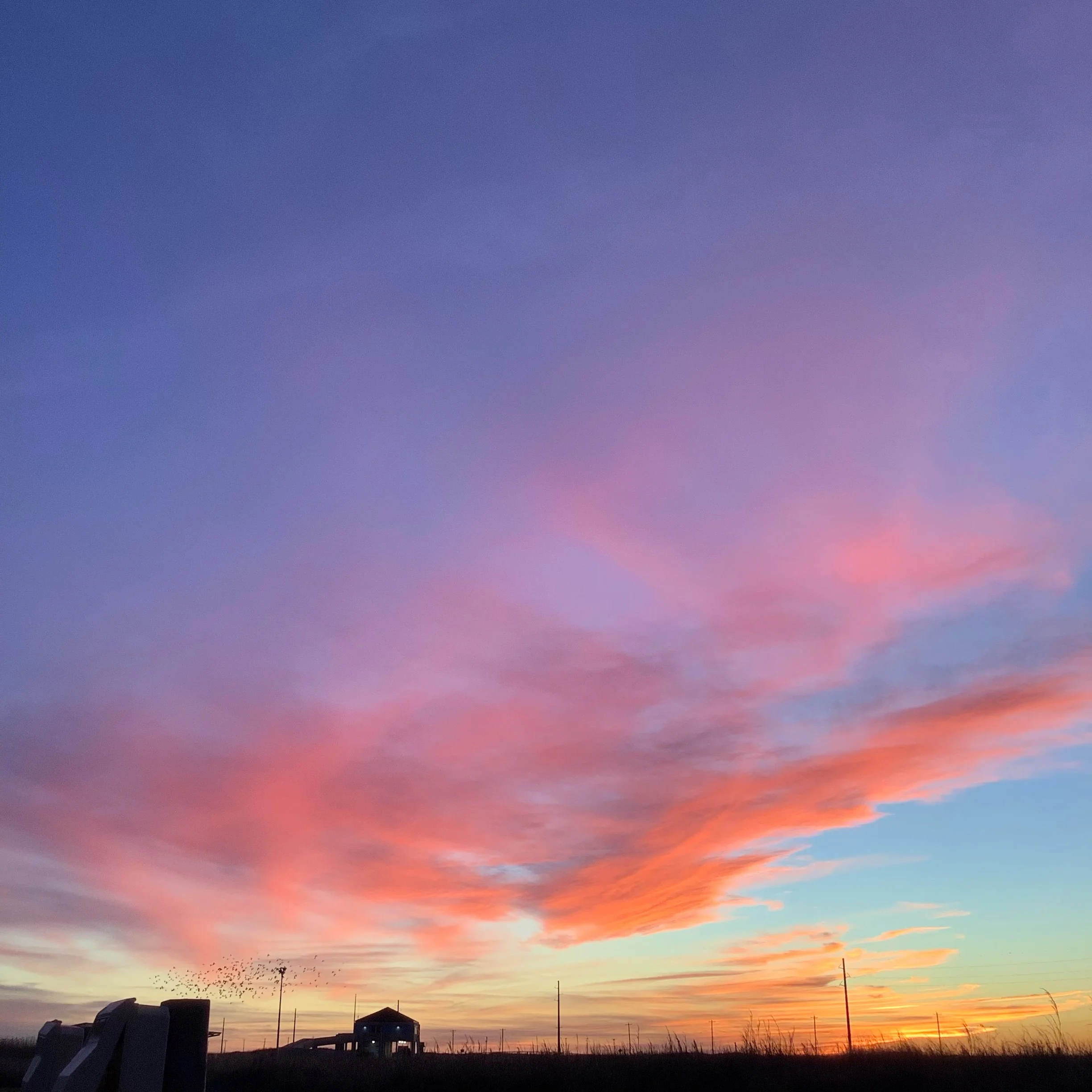 IMG_0042.jpeg