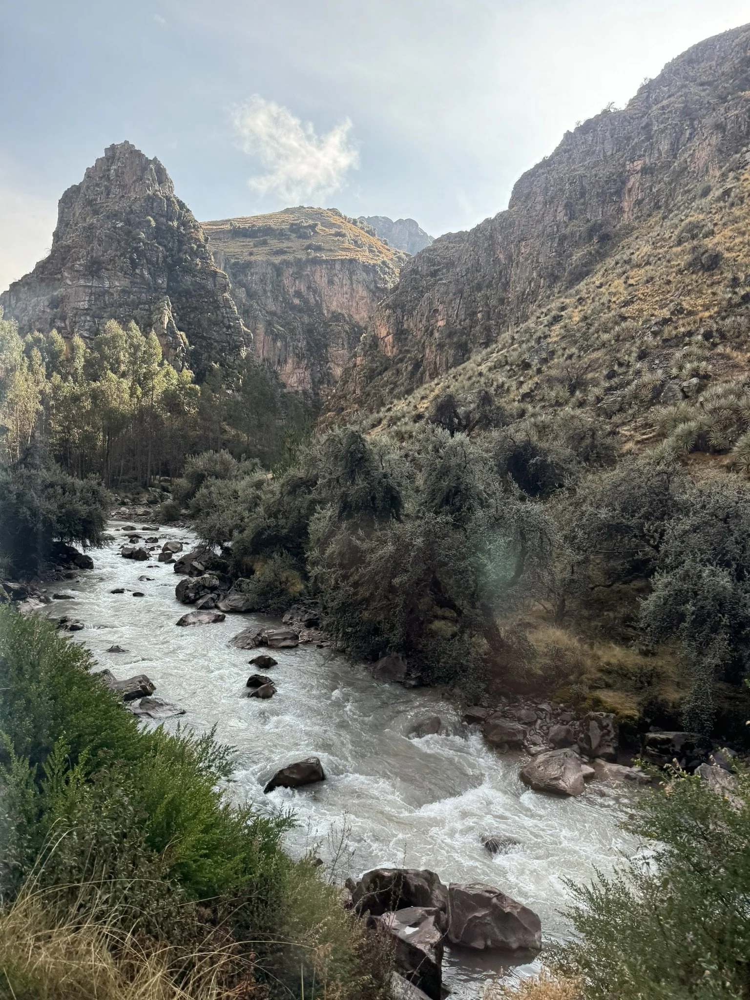 IMG_8197.JPEG