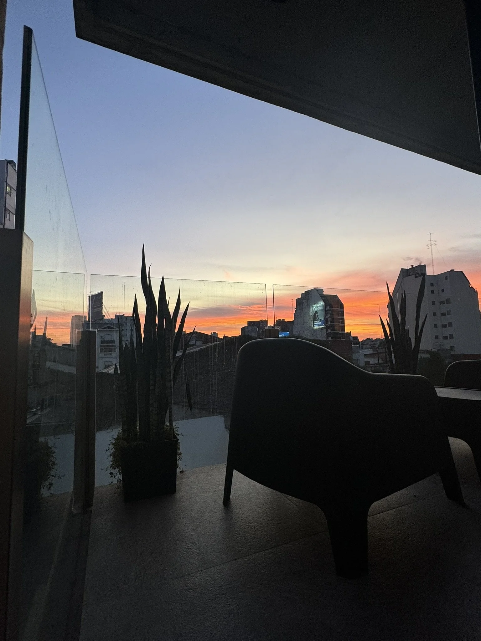 IMG_9669.JPEG