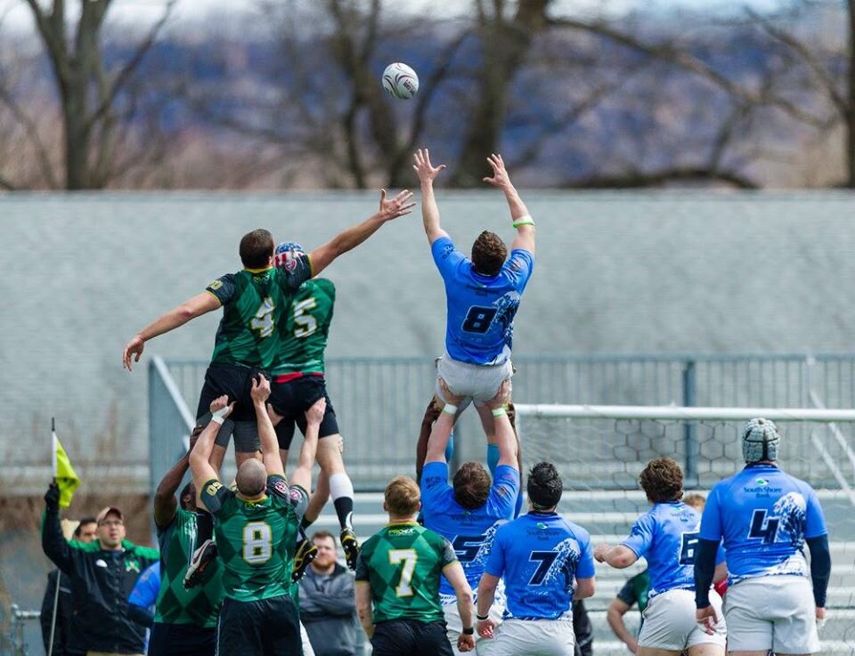 line-out 4.jpg