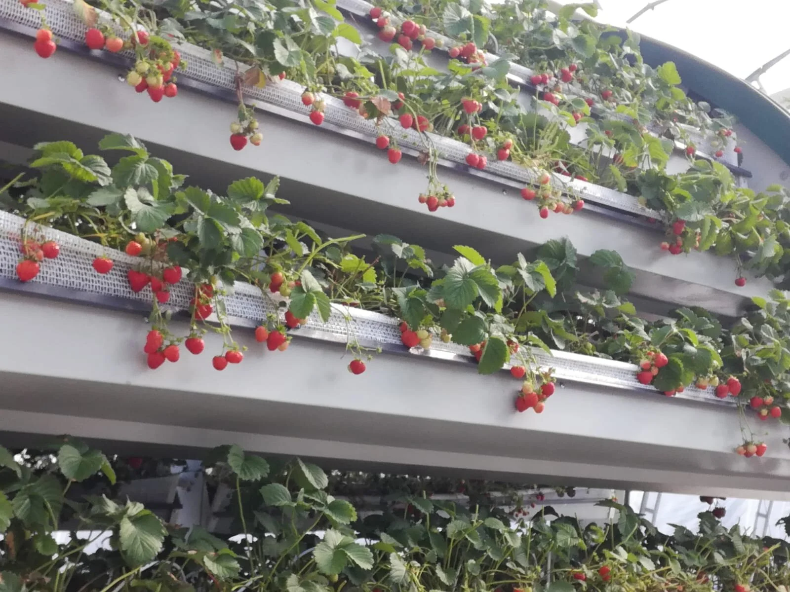 WhatsApp Image 2021-09-12 at 16.27.32 (1).jpeg