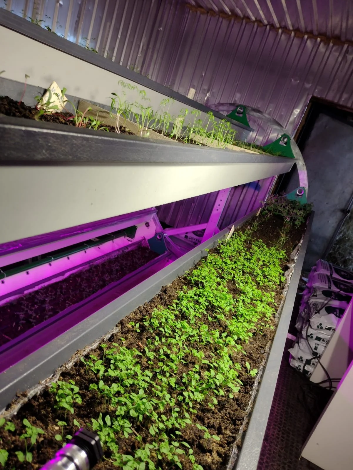 WhatsApp Image 2022-03-13 at 13.28.54.jpeg