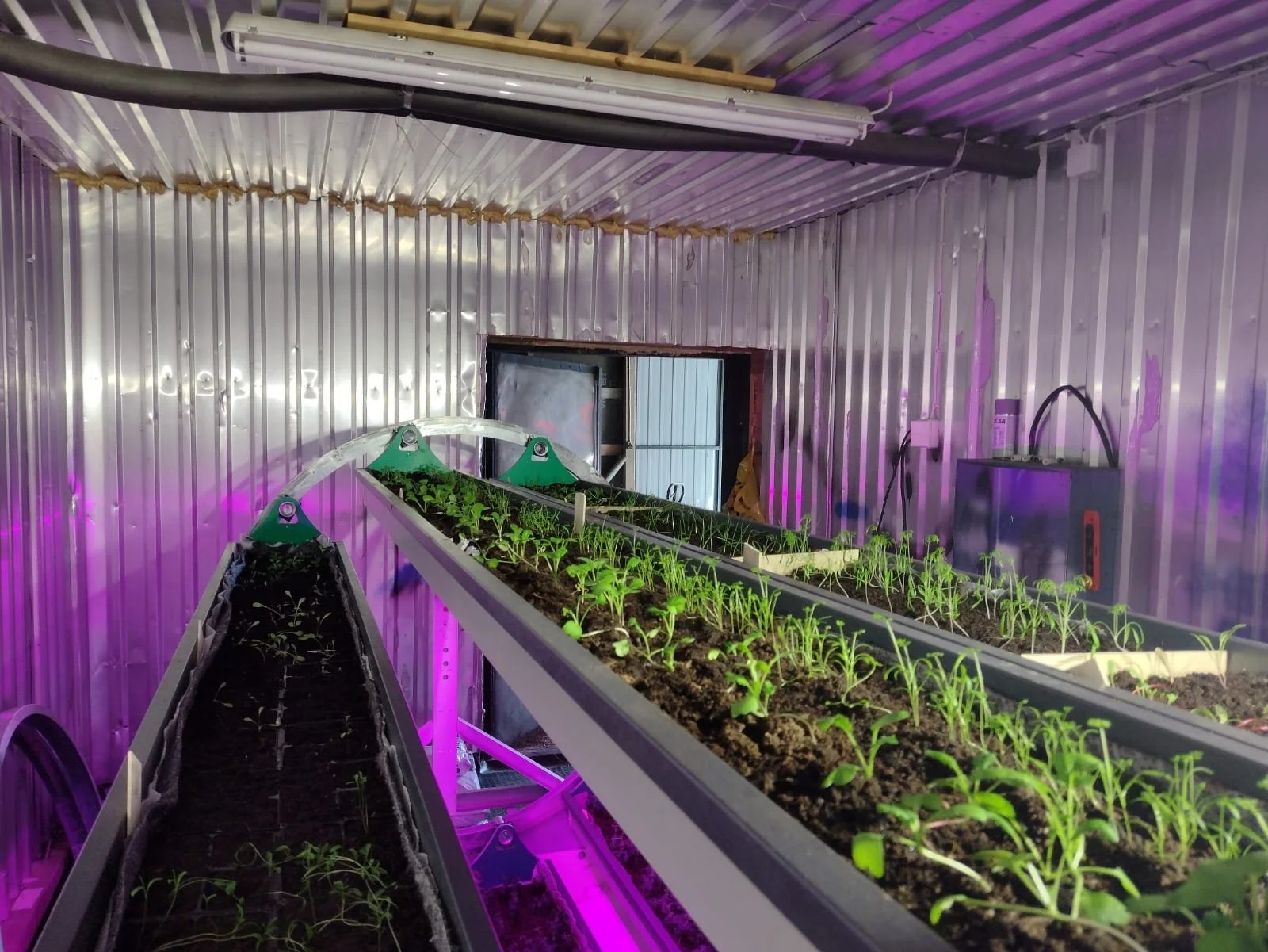 WhatsApp Image 2022-03-13 at 13.29.38.jpeg