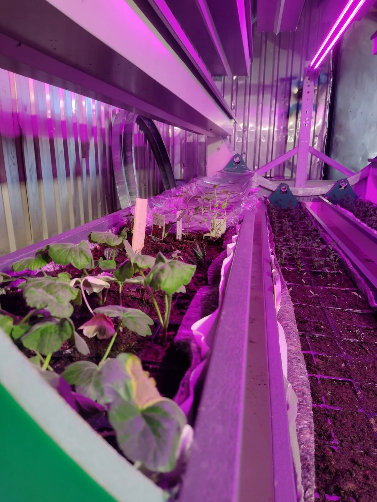 WhatsApp Image 2022-03-13 at 13.30.11.jpeg