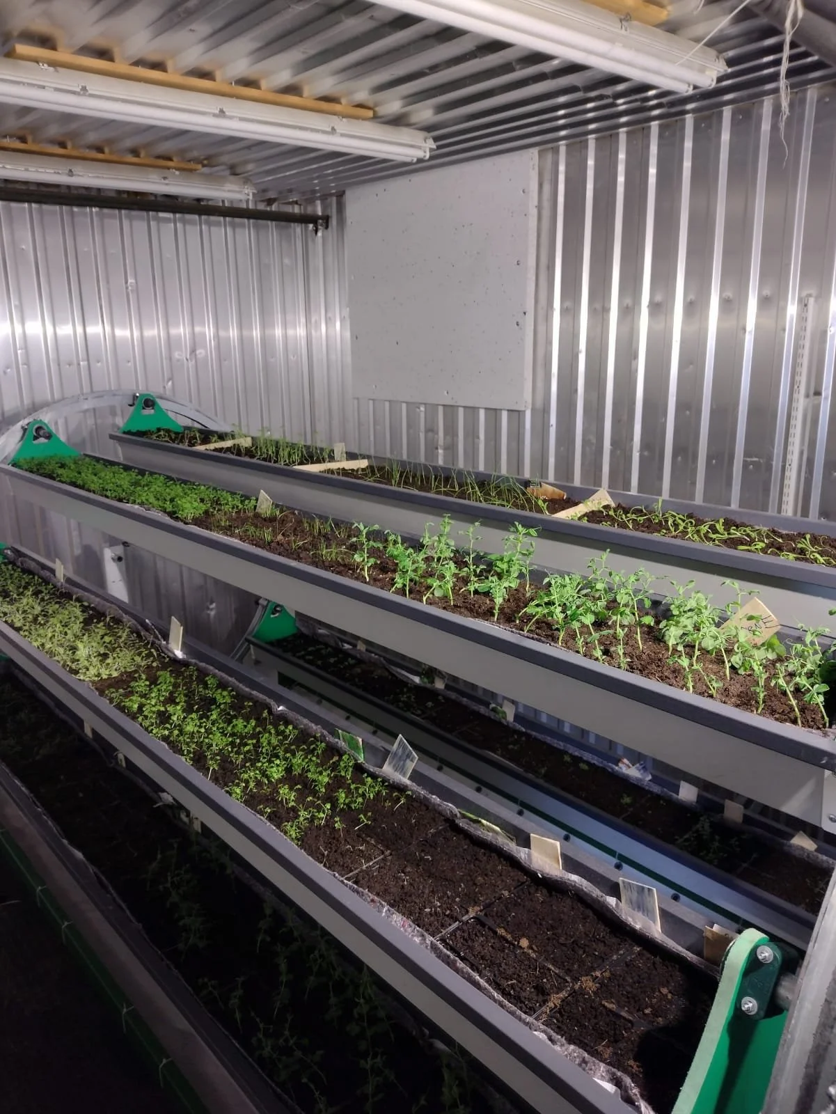 WhatsApp Image 2022-03-13 at 13.30.34.jpeg