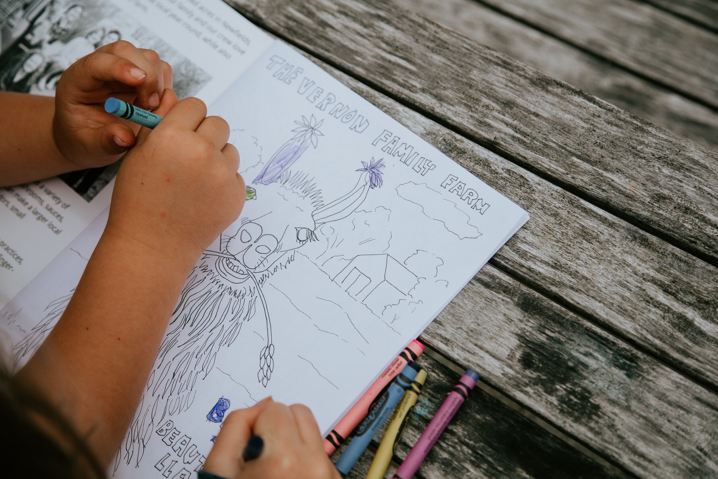 coloringbook5.jpeg