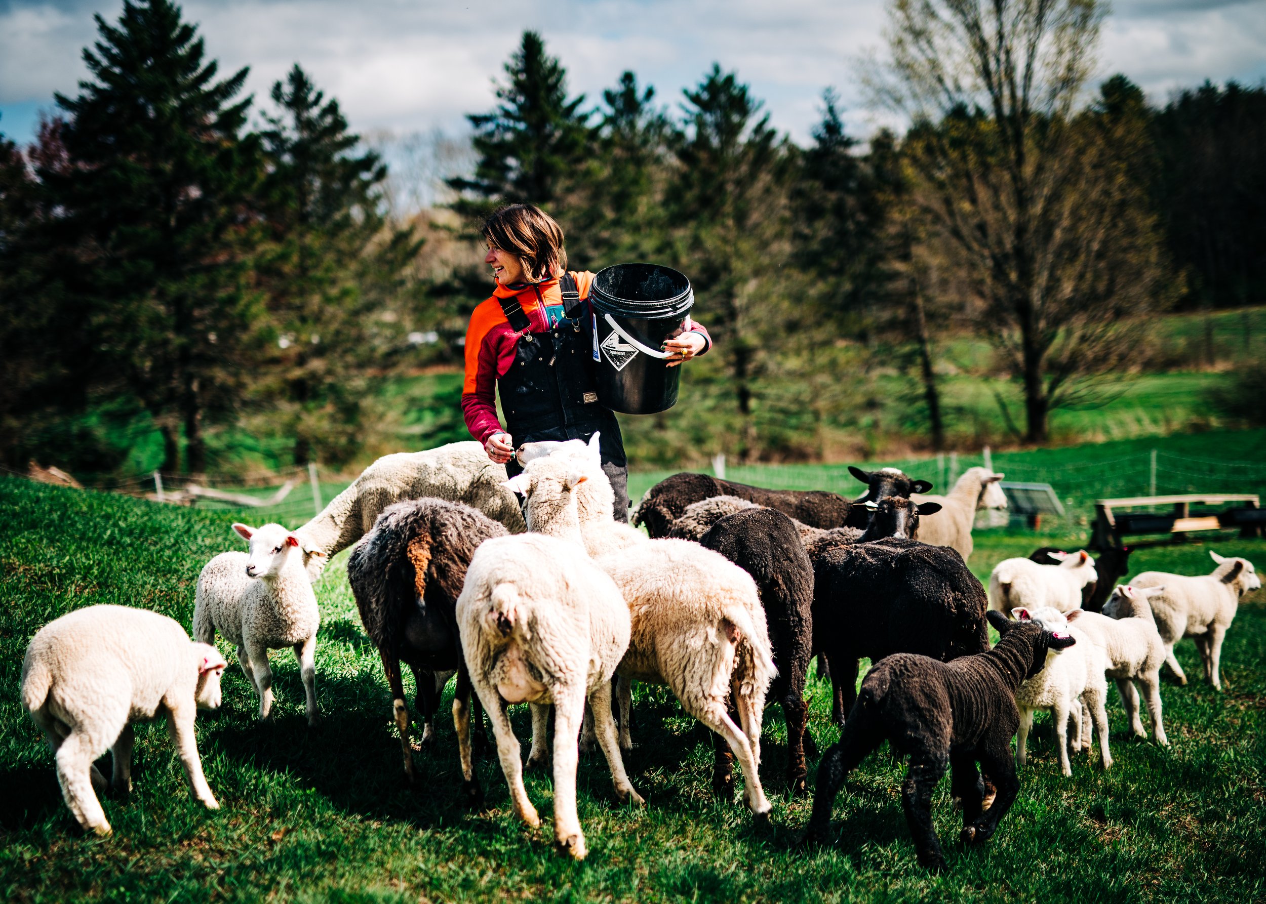 Vernon Family Farm - Nicole with lambs.jpg