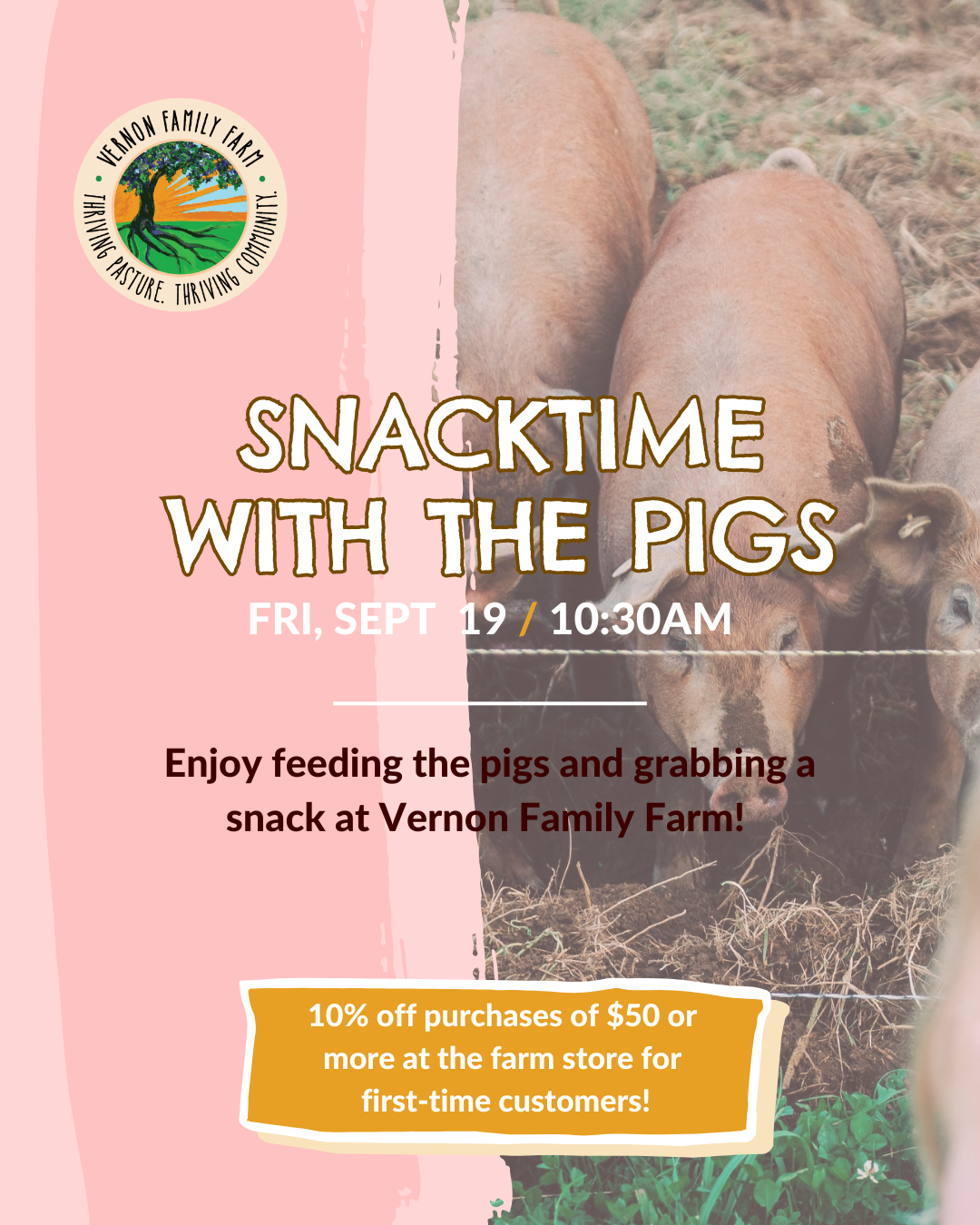 SNACKTIME with THE PIGS
