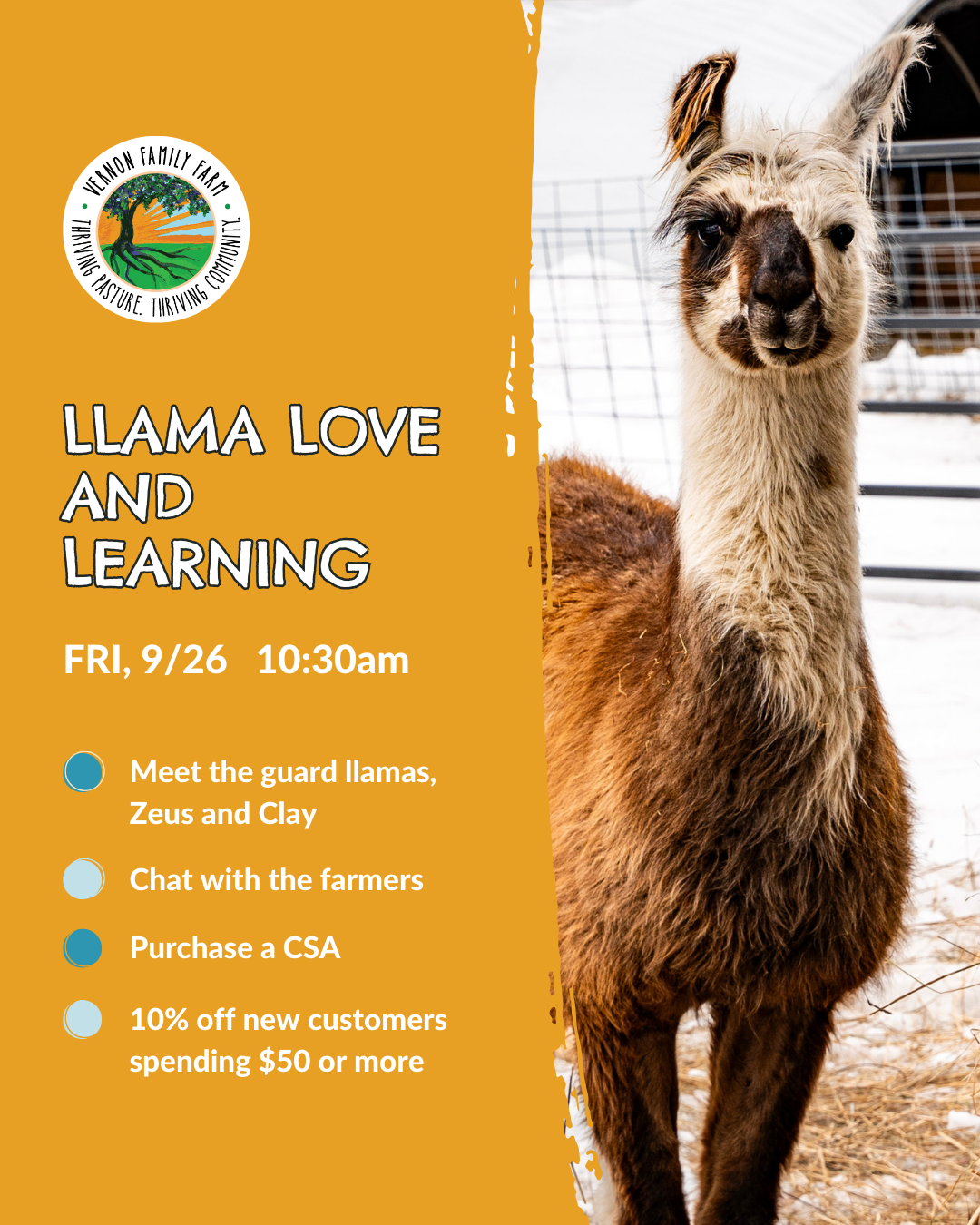 LLAMA LOVE AND LEARNING