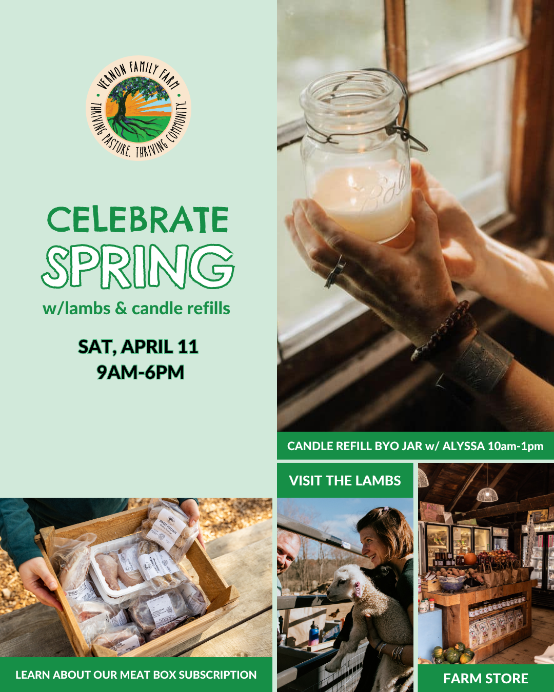 CELEBRATE SPRING: LAMBS &amp; CANDLE REFILLS