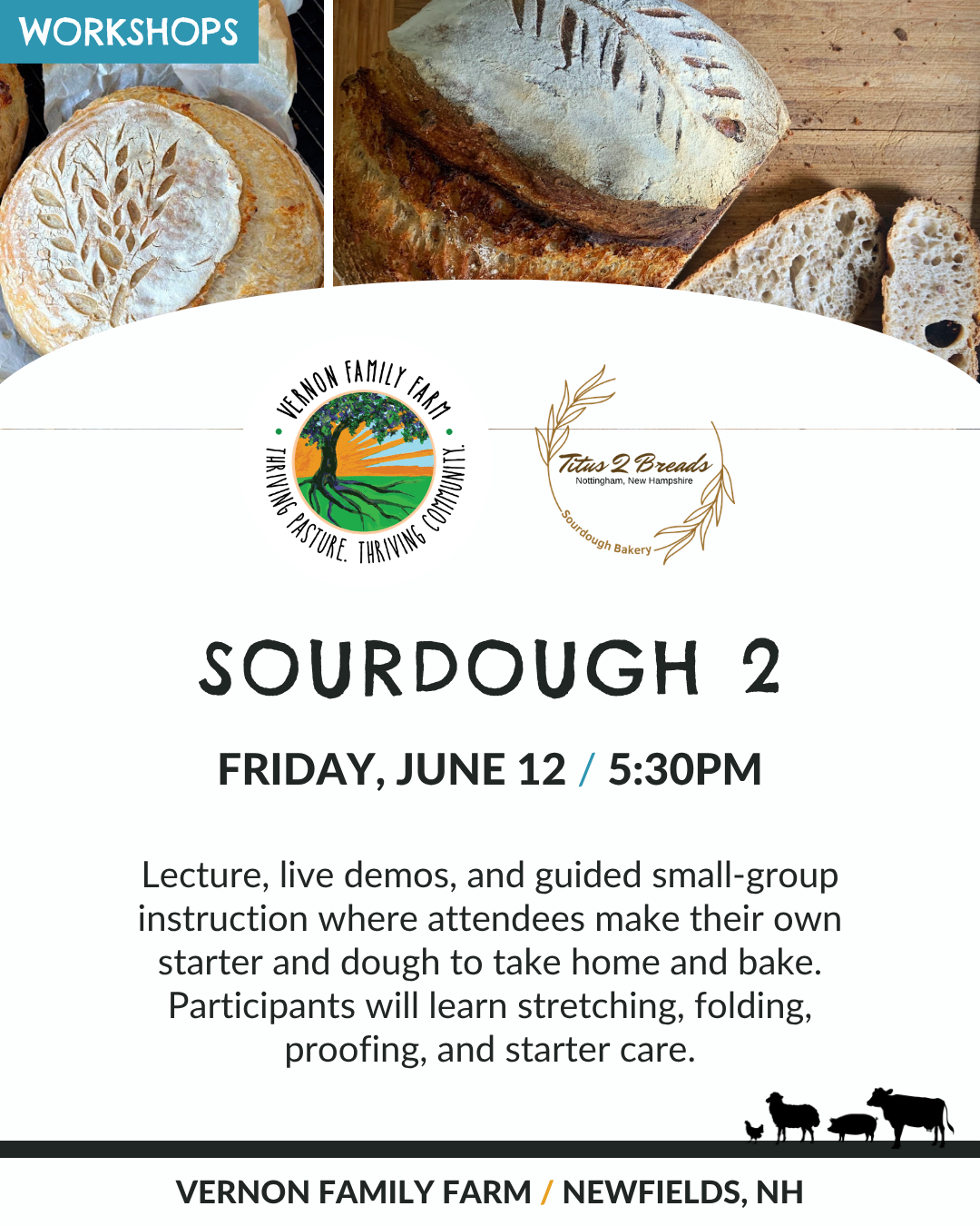 Sourdough 2