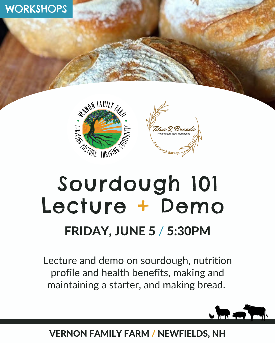 Sourdough 101: Lecture + Demo