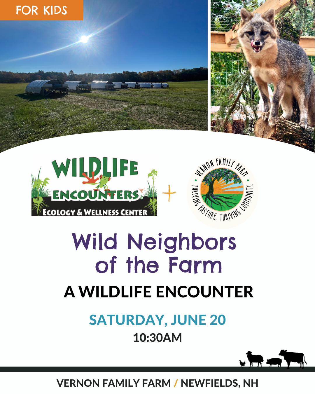Wild Neighbors of the Farm | A wildlife encounter 