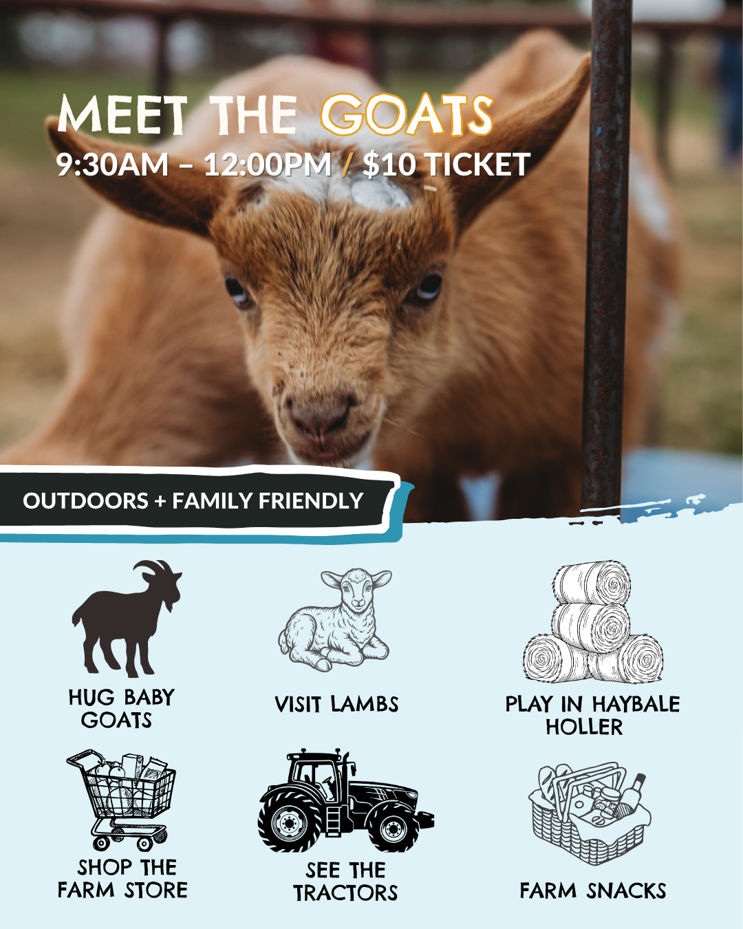 MEET THE GOATS 