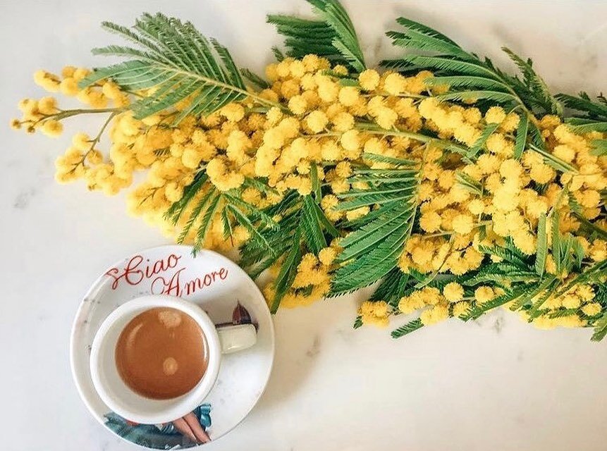 Buona Festa delle Donne! 💛

Happy Women&rsquo;s Day! 💛

Did you know the mimosa flower is the traditional flower to gift on women&rsquo;s day? I love the bright yellow color and it smells incredible 😍