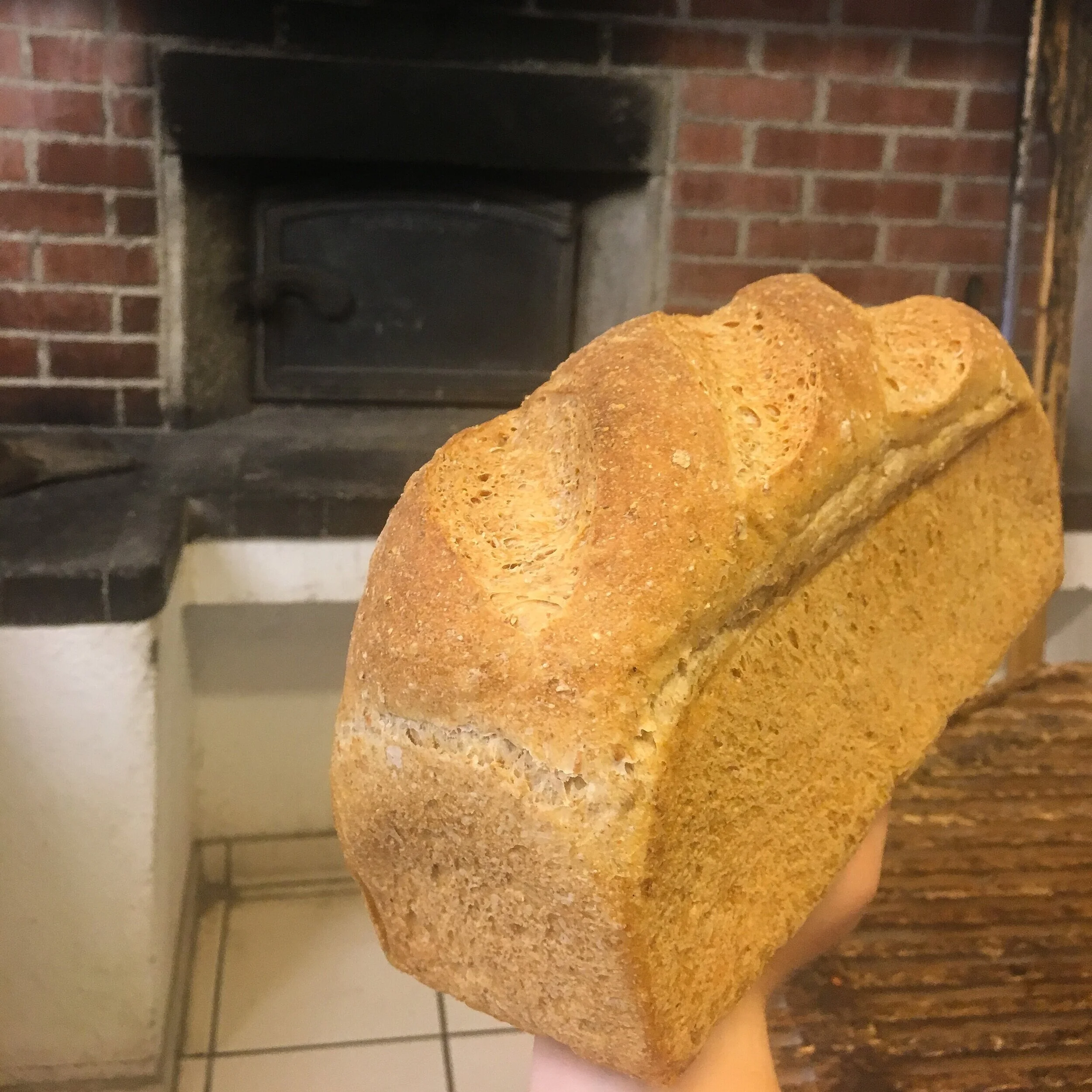 MELLOMGROVT BRØD