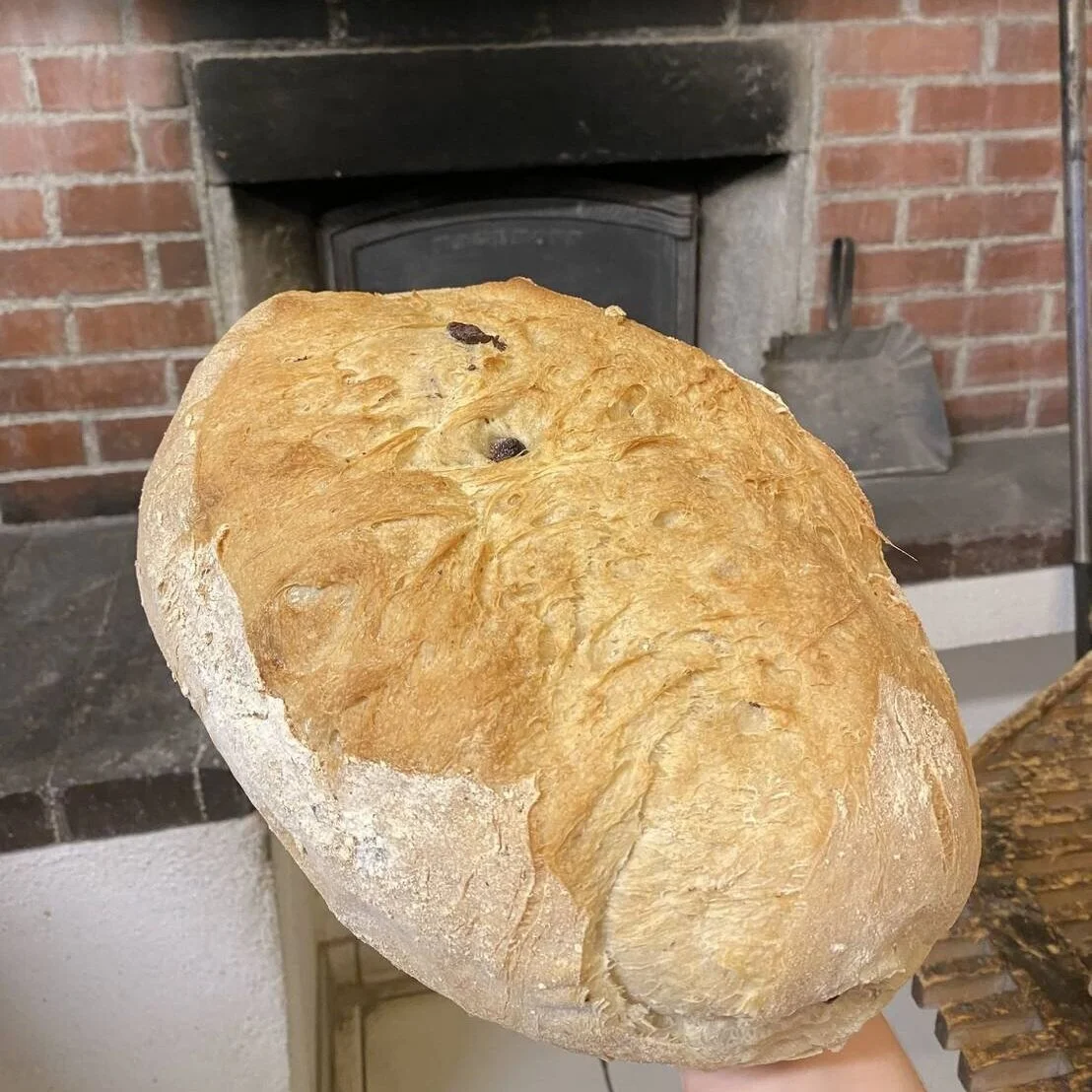 OLIVENBRØD