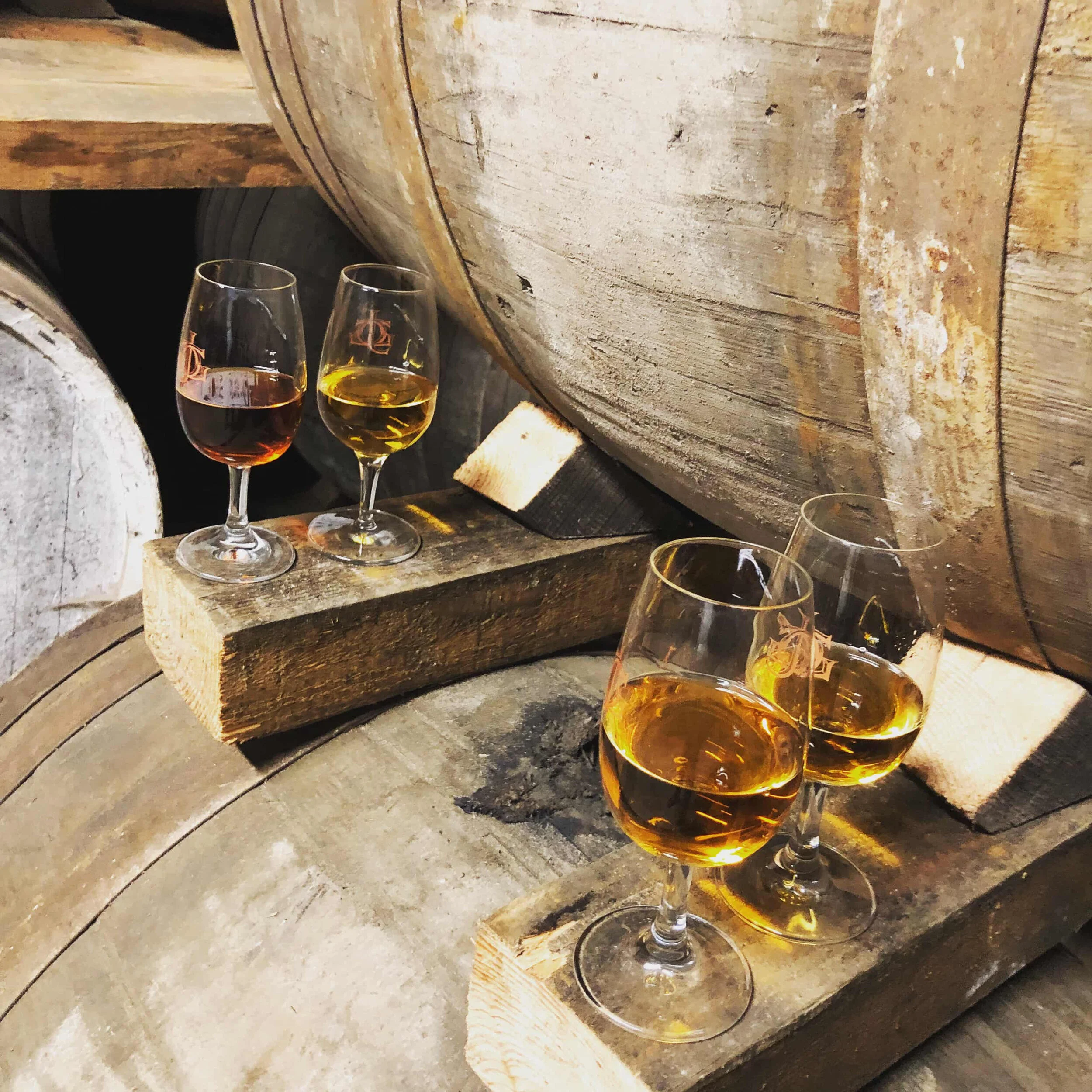 glasses on barrels.jpg