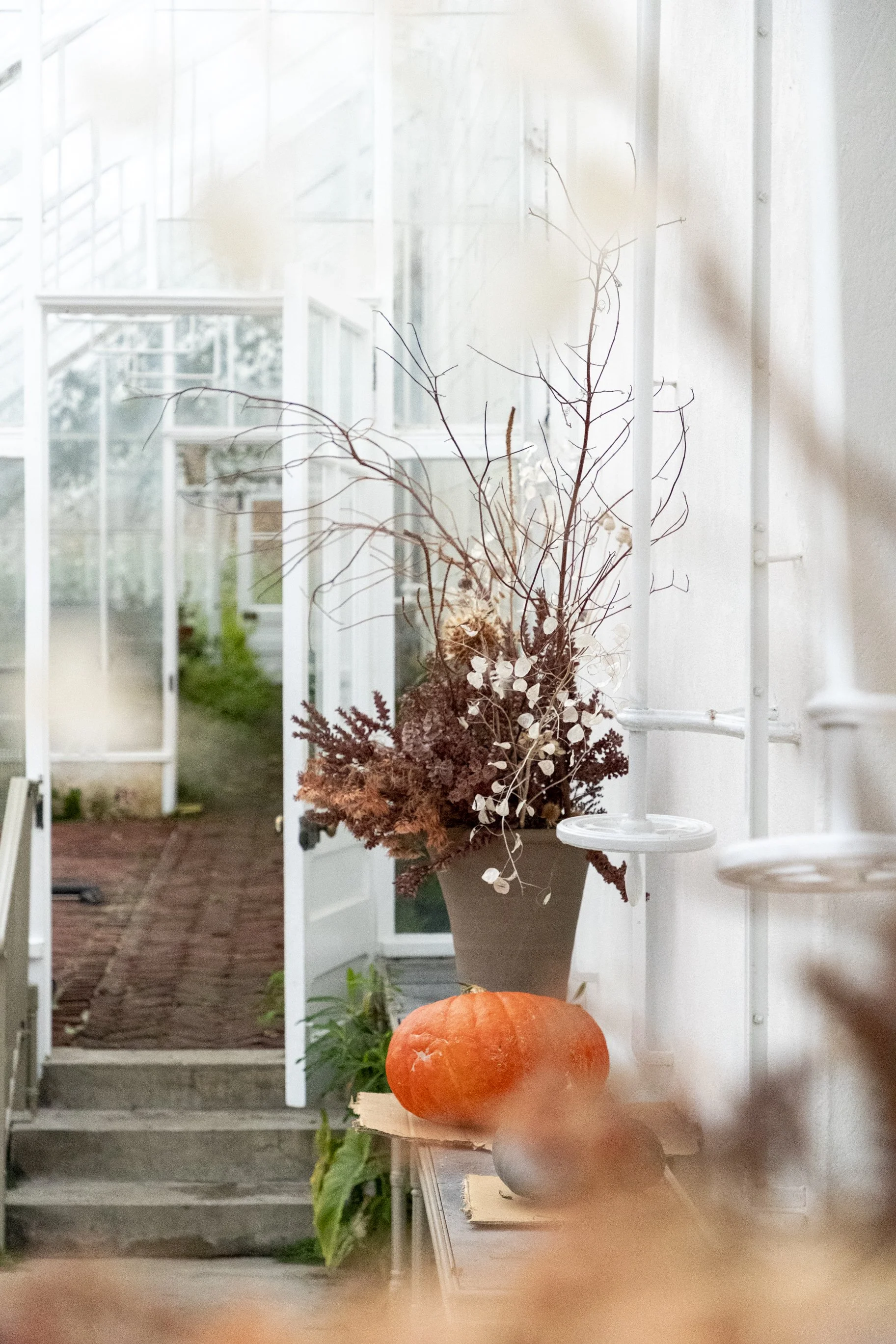 VAF_07112025-23.jpg
